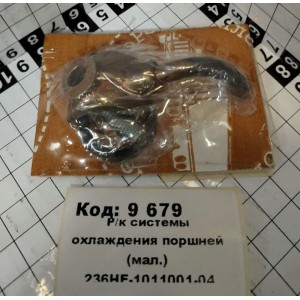 Р/к системы охлаждения поршней (мал.) 236НЕ-1011001-04