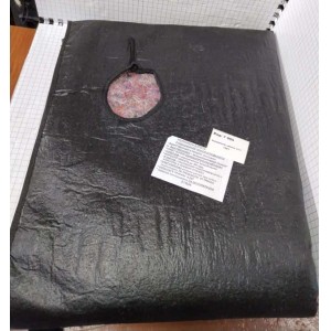 Утеплитель капота МТЗ 1221