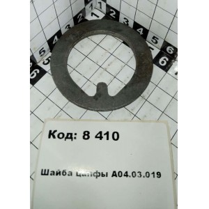 Шайба цапфы А04.03.019